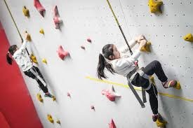 内维尔：利物浦仍能获得欧冠资格，但难以达到上赛季的高度