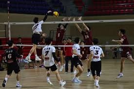 全明星投票通道开启